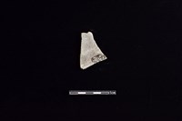 陶片藏品圖，第2張